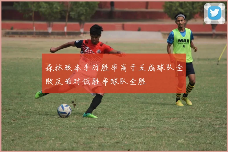 森林狼本季对胜率高于五成球队全败反而对低胜率球队全胜