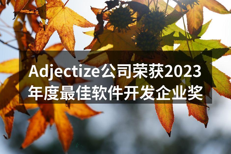 Adjectize公司荣获2023年度最