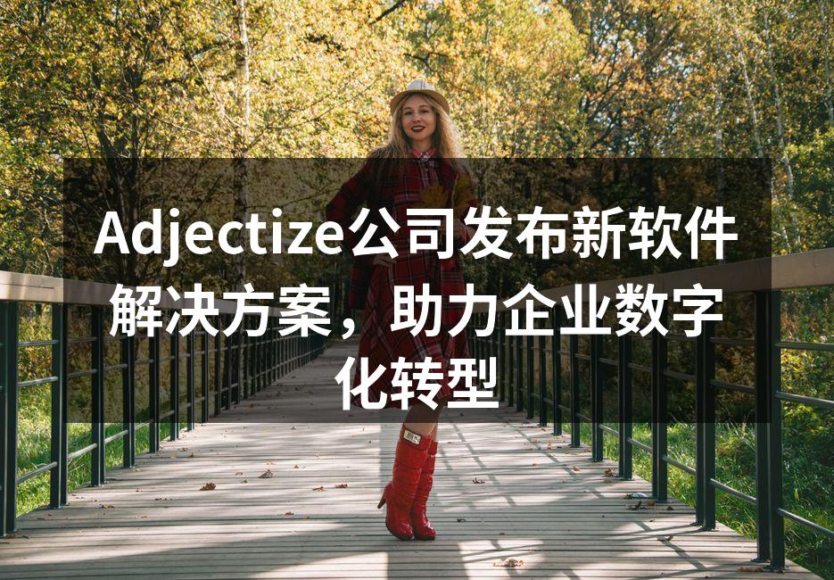 Adjectize公司发布新软件解决方案